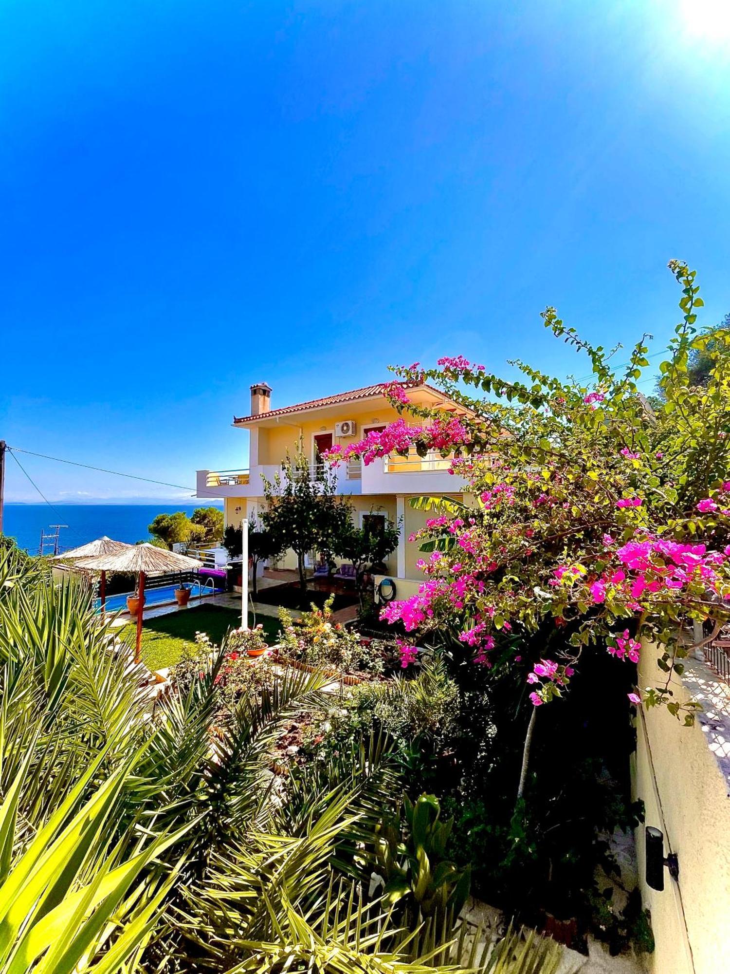 Odysseas Art Villa Порос Экстерьер фото